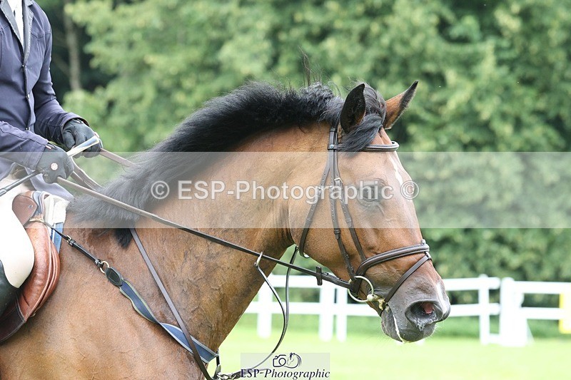 230708-153011-14921 - Cls 24 1.40 Open