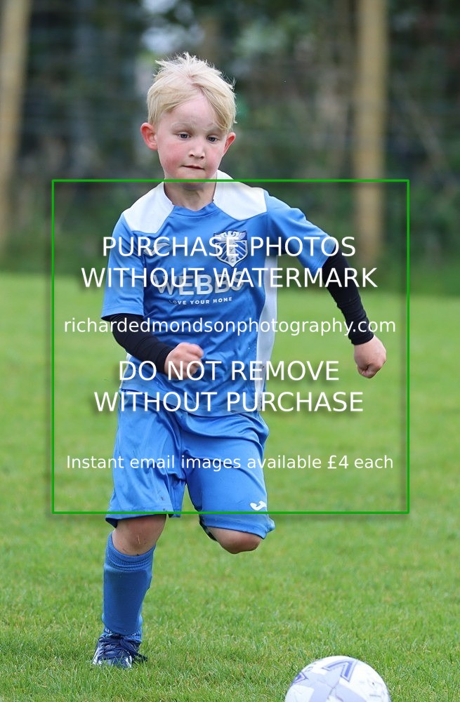 IMG_6175 - Wattsfield Under 6 vs Halton Under 6 (5/5/24)