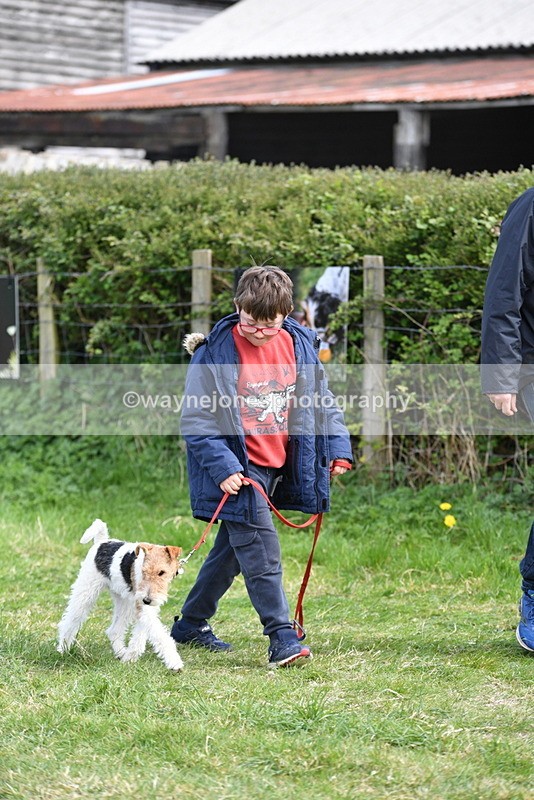 WJ5_0757 - Best in Show Championship
