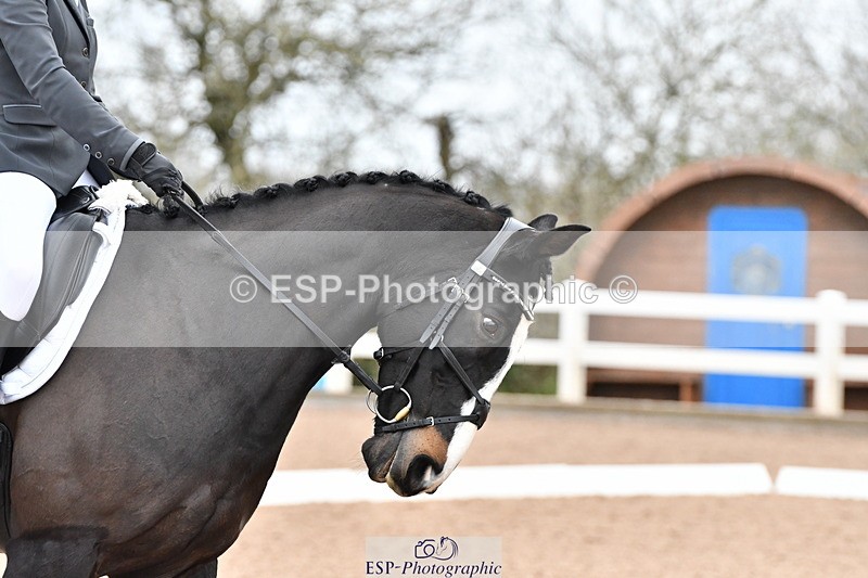 231217A-121505-00936 - Unaffiliated Classes