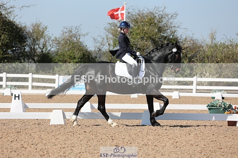 250405-120117-10299 - 111-Ever.Sinfield.Day-Machno.Excalibur