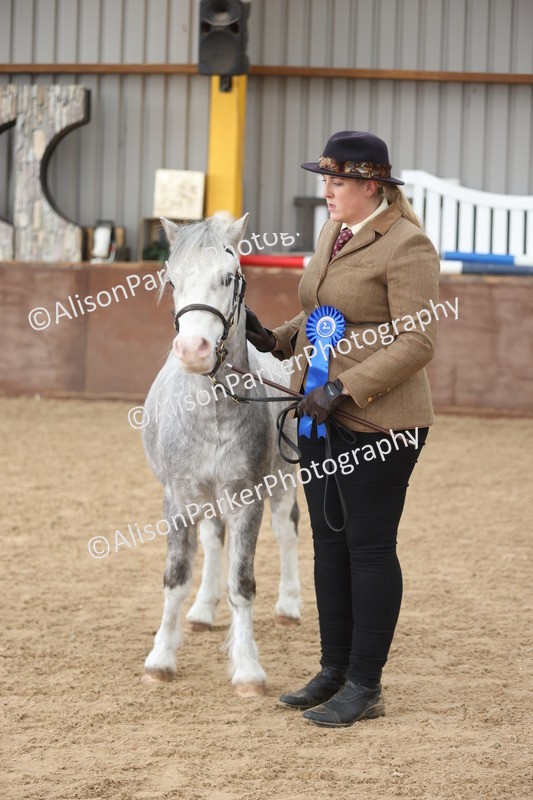 20251109-0678 - Class 22 - Geldings 4 Years and over