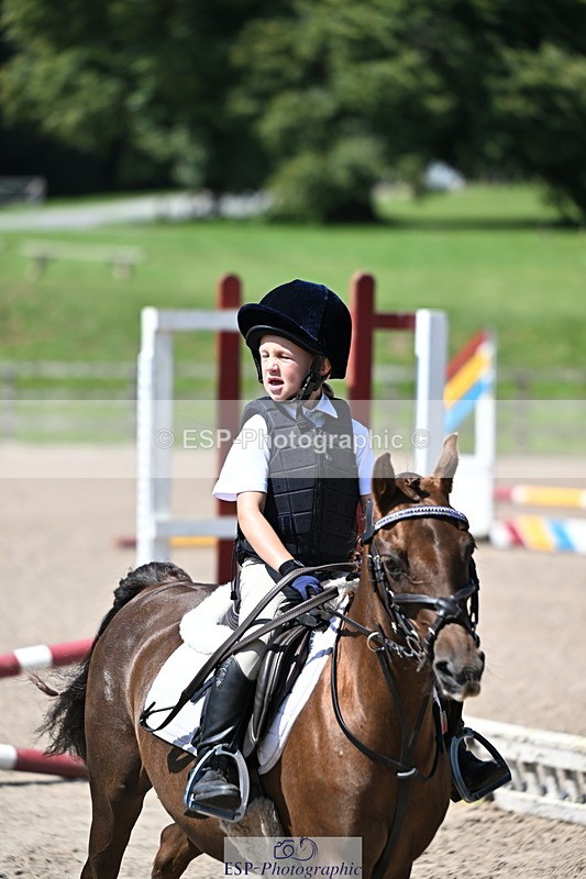 240729B-115018-02548 - Showjumping Competition