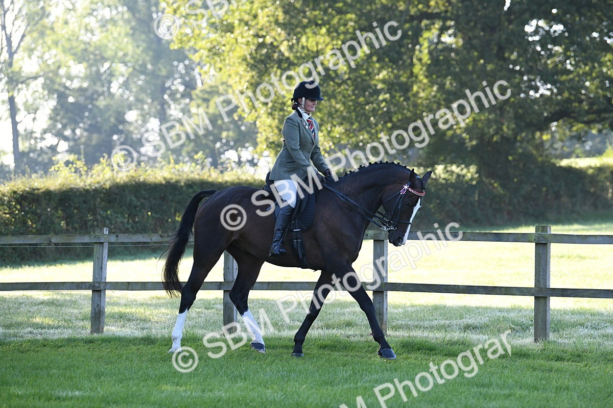 SBM_33983 - S16 - Condition & Turnout - Ridden