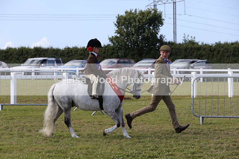 1X9A5504 - M&M Mini Ridden Championship