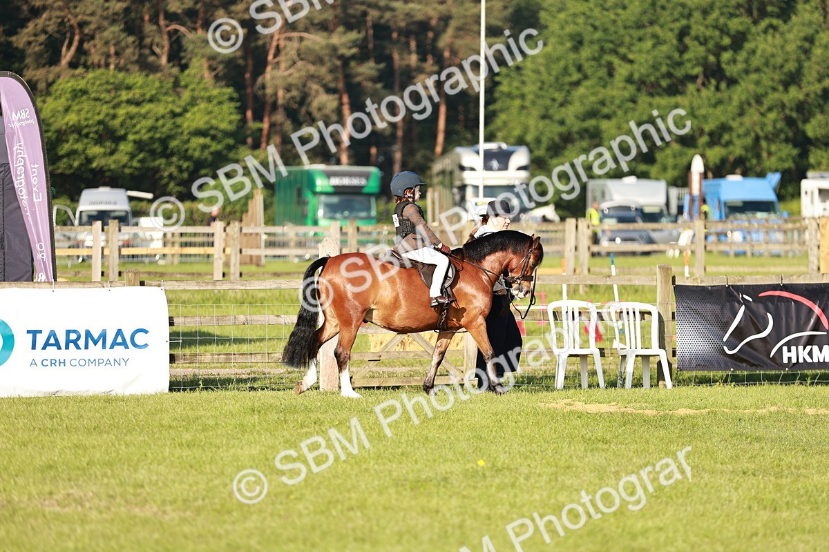 SBM_10979 - Class 106-107 - BSPS LIHS Working Sports Pony