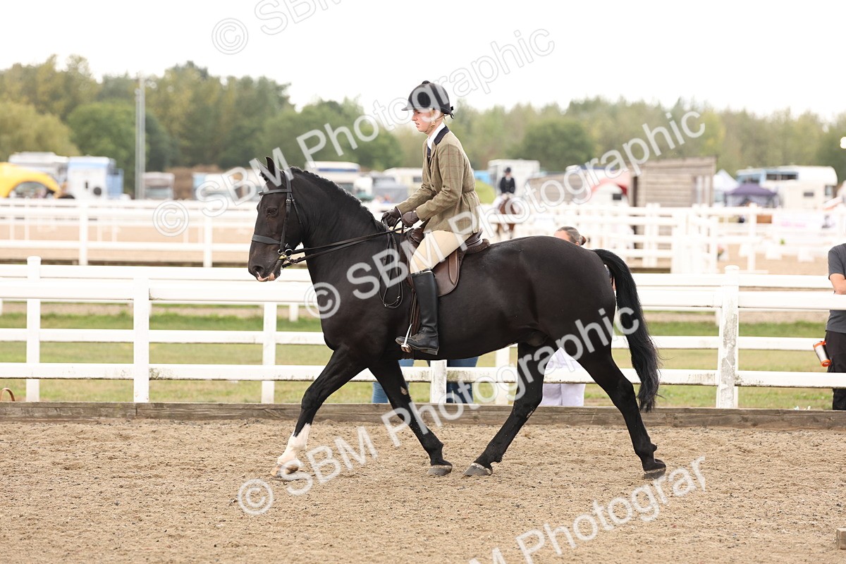 SBM_02909 - Class 53 - Ridden Competition Horse/Pony