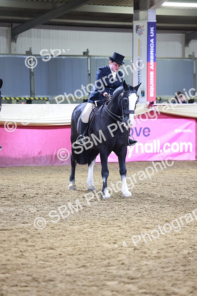 SBM_15423 - Class Q - Ridden Horse Champ