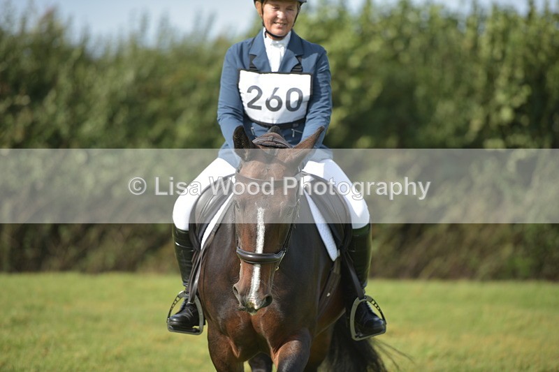 RAY_7772 - Class 2B: Trekenning Open: Dressage
