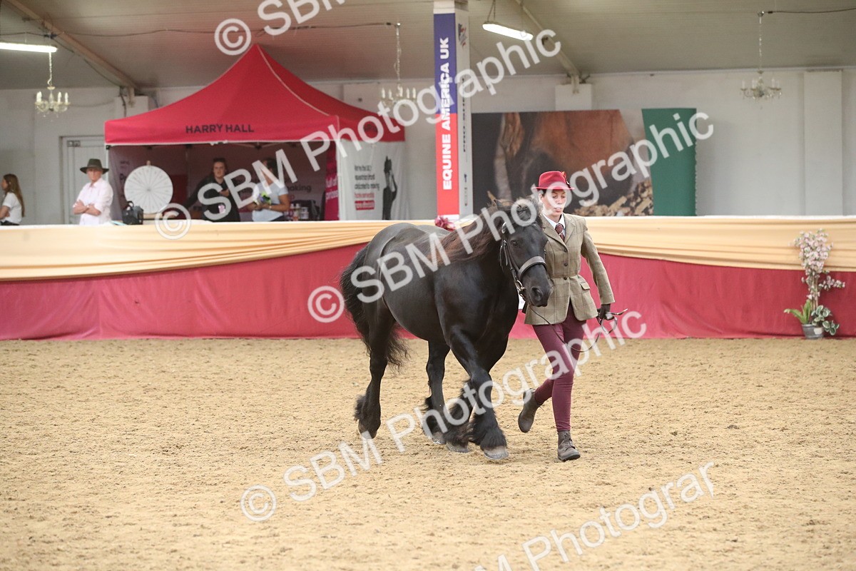 SBM_05698 - Class 9R - Regional IH Pre-Vet