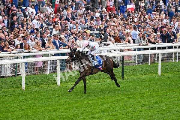 230825-Race 4-Ethical Diamond-0580 - Race 4 3.35pm Sky Bet Ebor Handicap