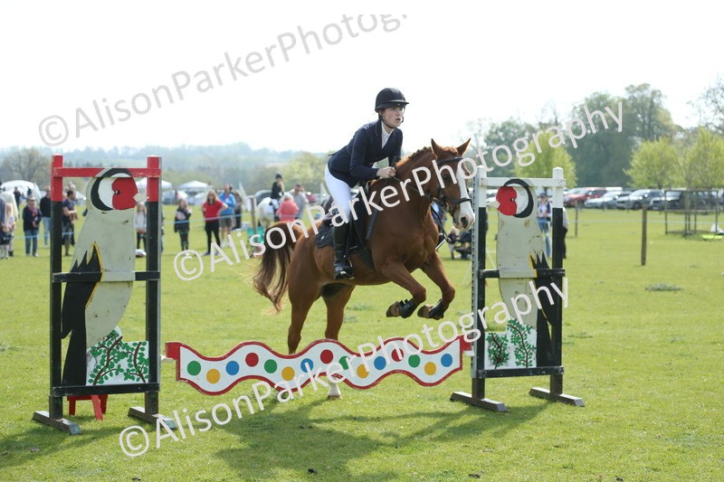 20260426-1502 - Class 14 - Novice 60cm