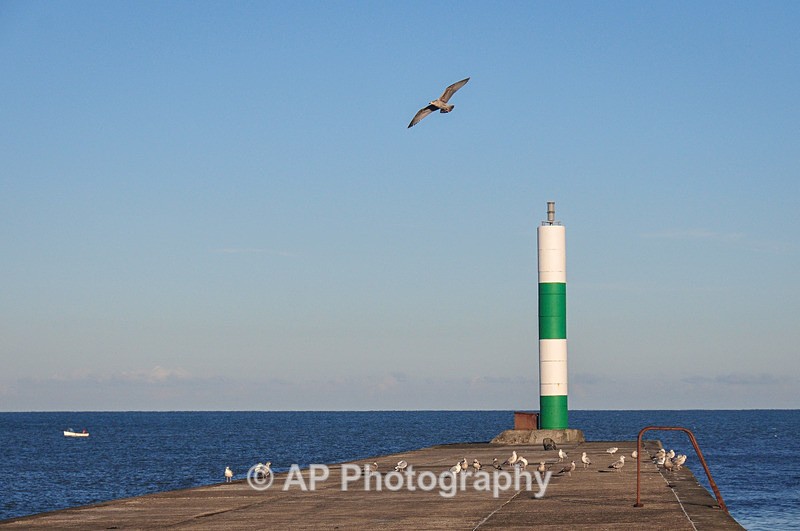 ACP_6478-1 - Aberystwyth Harbour and Marina