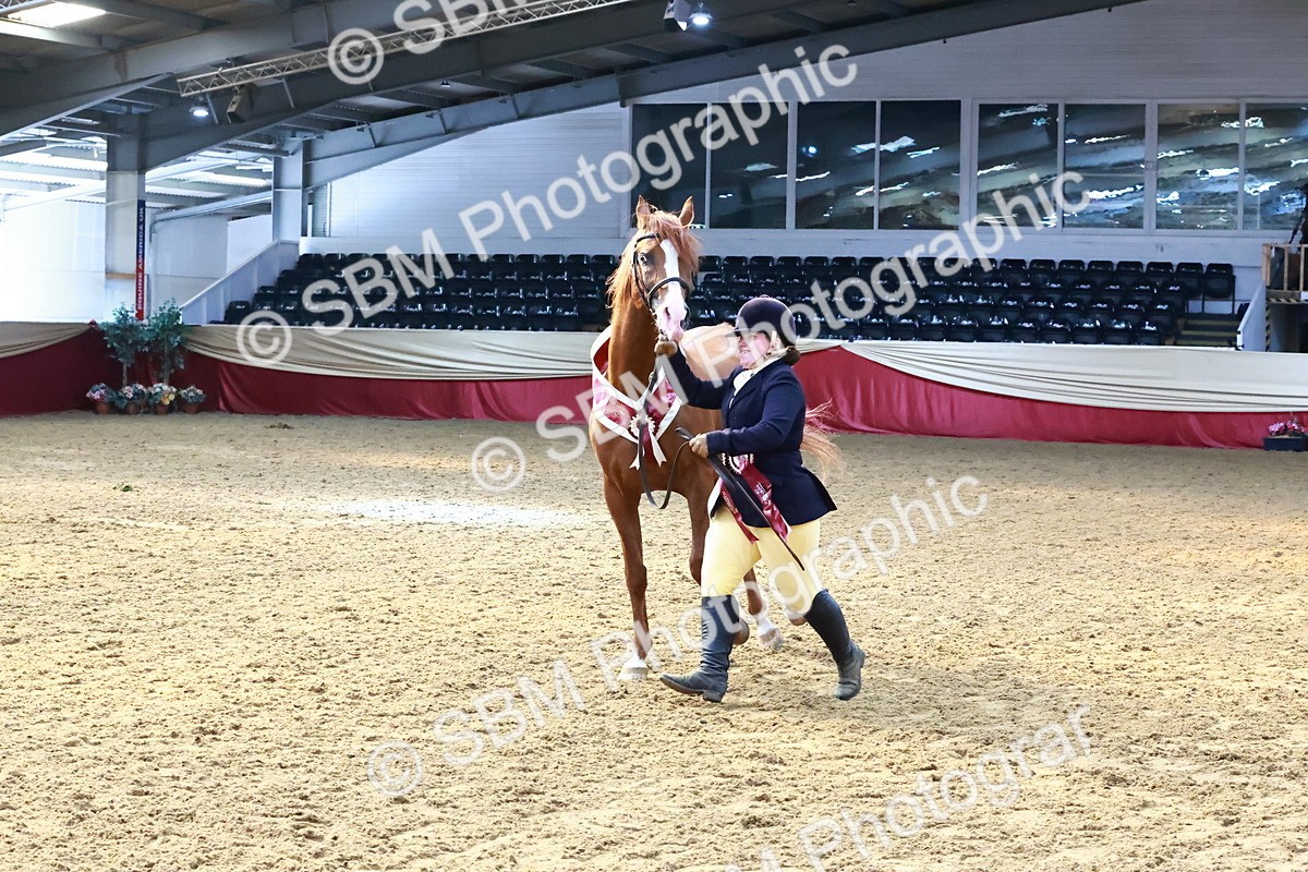 SBM_22459 - Class 902 - Supreme Final - IH Diamond