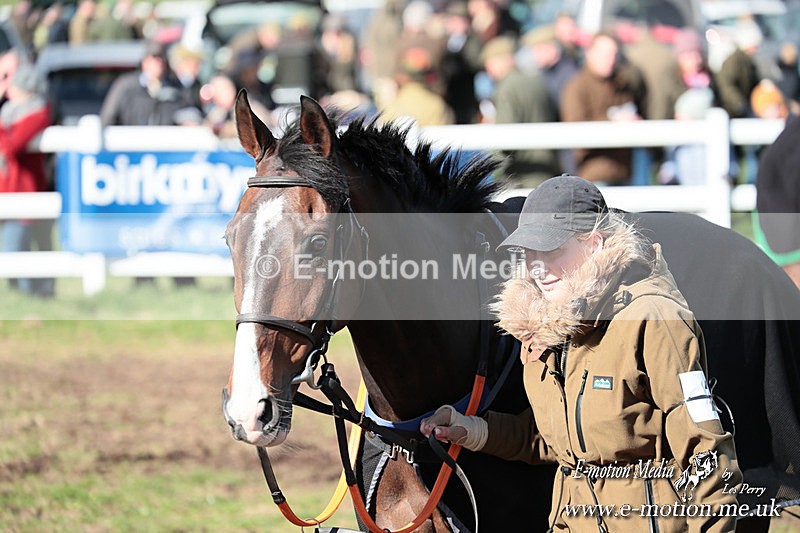 PtP 230324 633 - Tedworth Hunt PtP Larkhill Raccourse 23rd March 2024