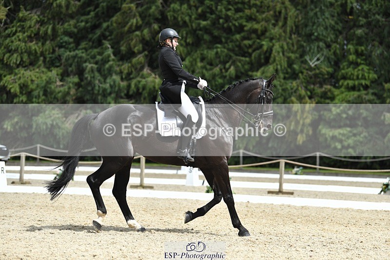 230812-140007-04572 - Cls 7 FEI PSG Bronze