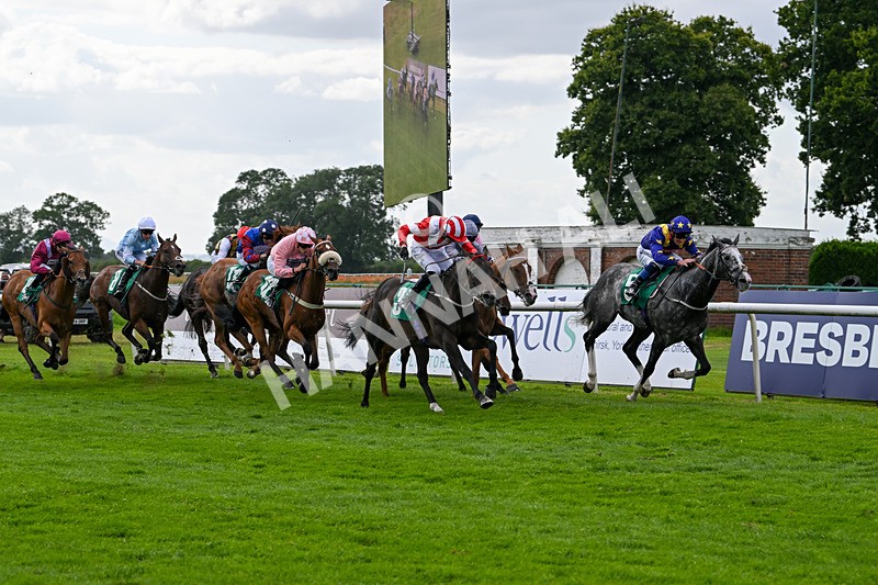 030824-Race 5-La Trinidad-1812 - Race 5