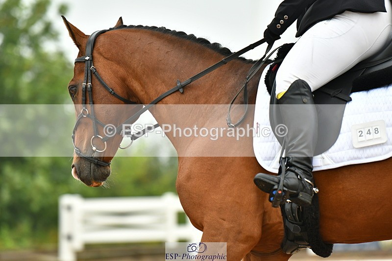 230708A-142623-03459 - Prelim 14