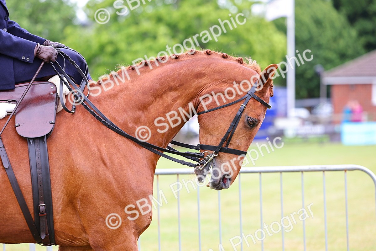 SBM_02862 - Class 9-11 Side Saddle including LIHS Rising Star Ladies Show Horse