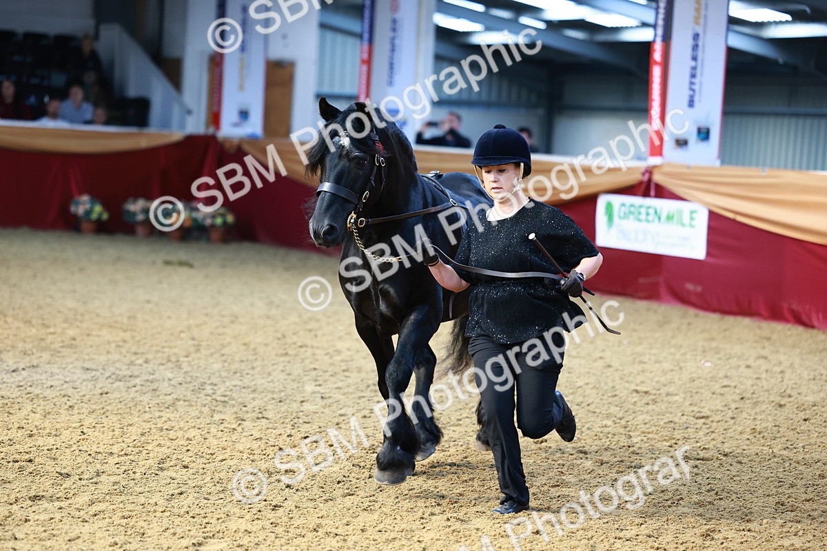 SBM_22292 - Class 902 - Supreme Final - IH Diamond