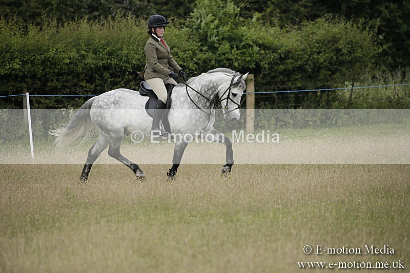 B230619-0126 - Bourne Valley Riding Club Summer Show 23/06/19