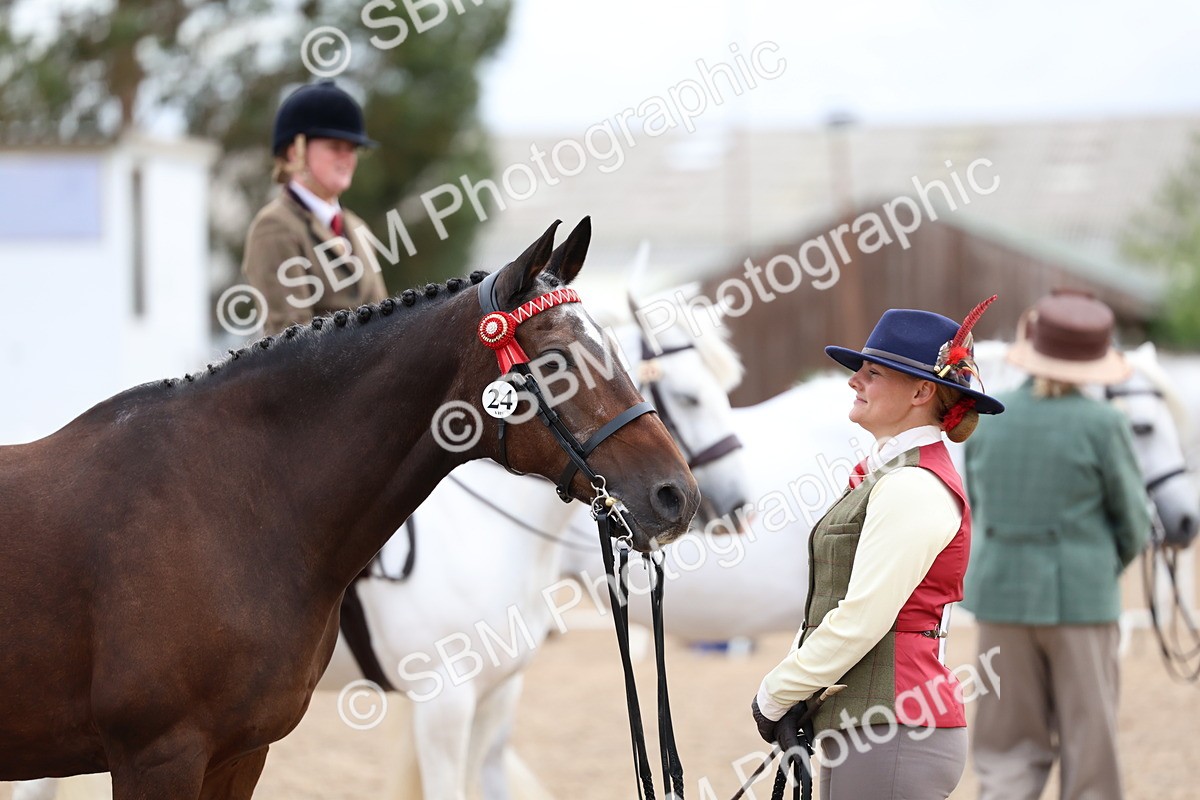 SBM_01488 - Class 17 - Prettiest Mare