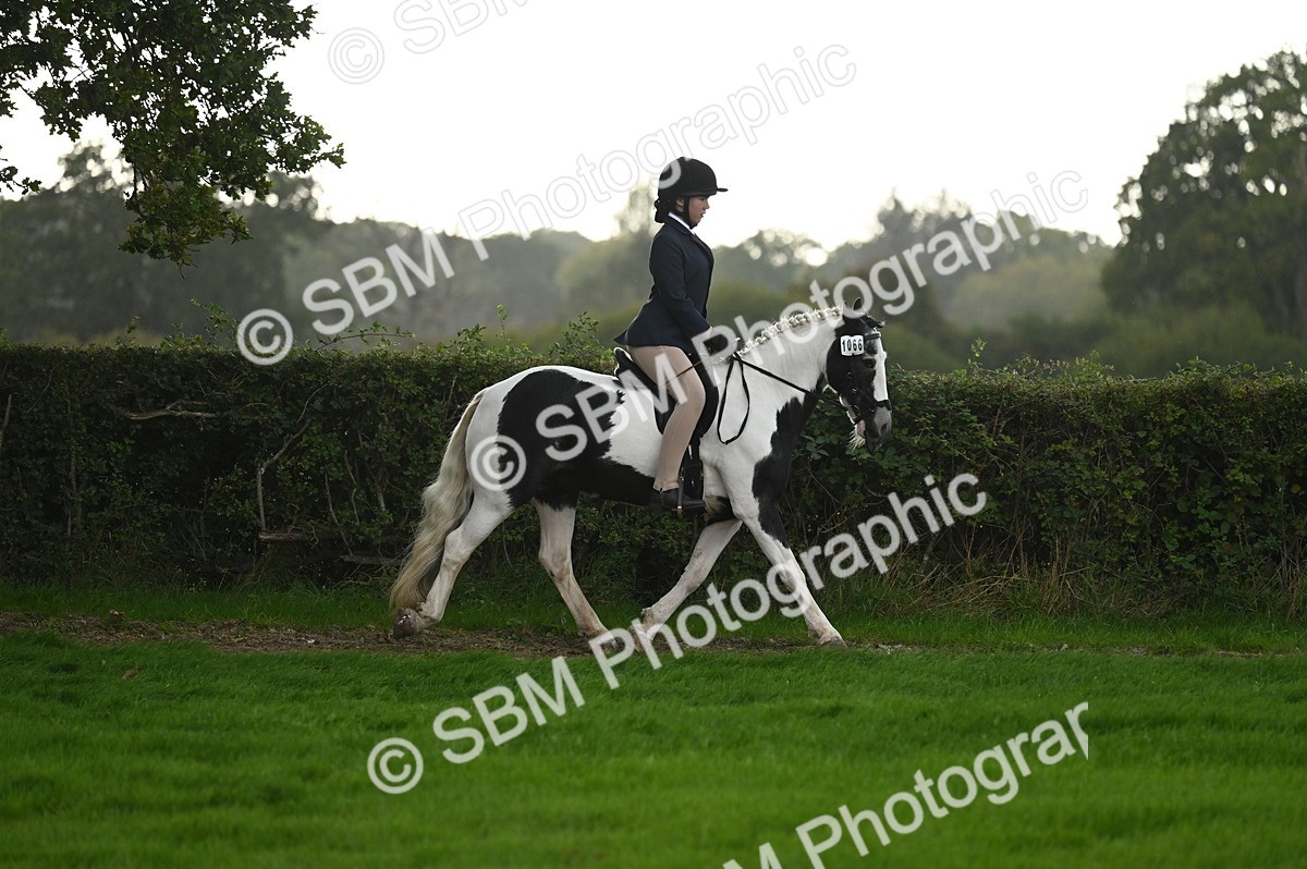 SBM_26579 - S7 - Novice & Newcomer Ridden Pony