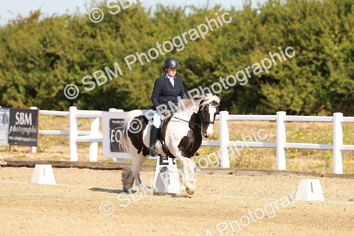 SBM_016751 - Class 9 - N5 Bronze 9.30.10.19