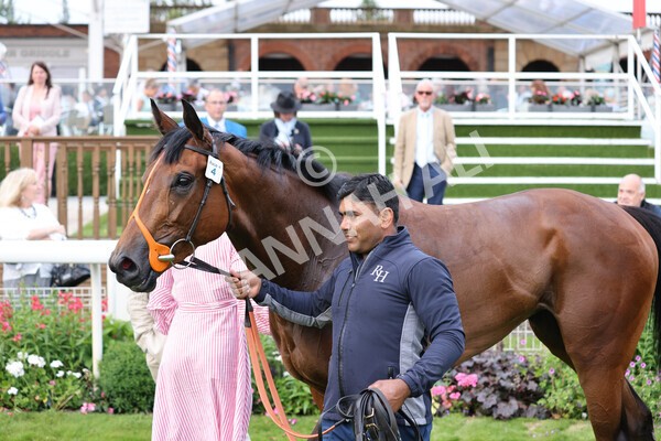 yr23072021r4-55 - Race 4 7.30pm British Stallion Studs EBF Lyric Fillies' Stakes