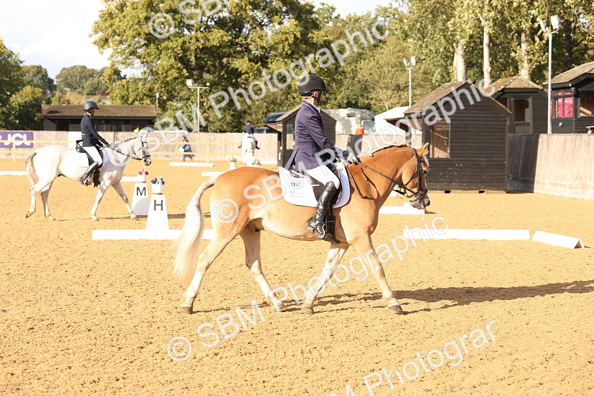 SBM_28204 - D20 - Grand Tour Championship Elementary 3