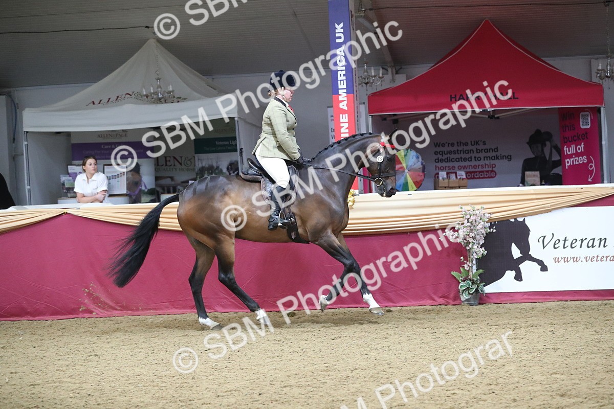SBM_12334 - Class 108 Ridden Retired Racehorse- Pre Judging