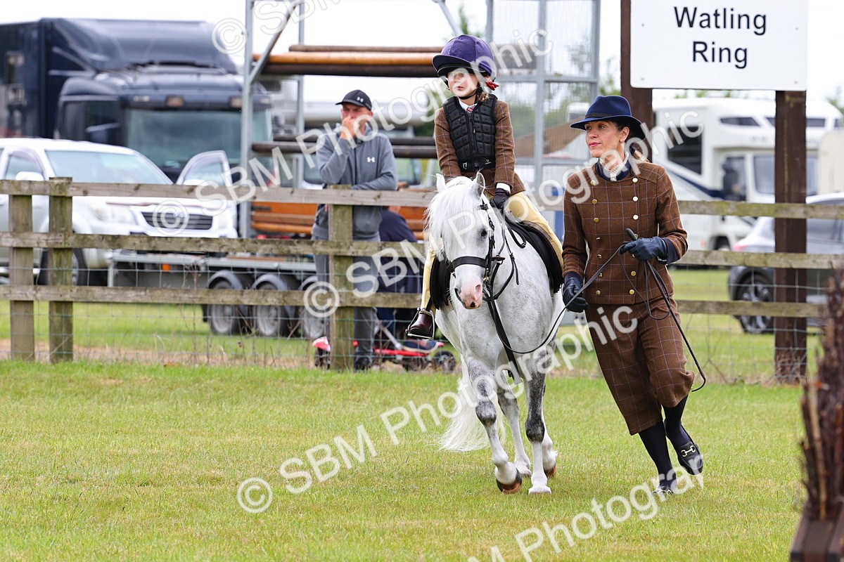 SBM_08254 - Class 42-43 - LIHS BSPS Heritage Working Sports Pony