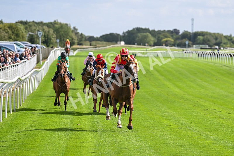100924-Race 1-The Dancing Poet-9871 - Race 1