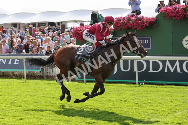 yr18082021r4-82 - Race 4 3.35pm Juddmonte International Stakes (British Champion Series race)
