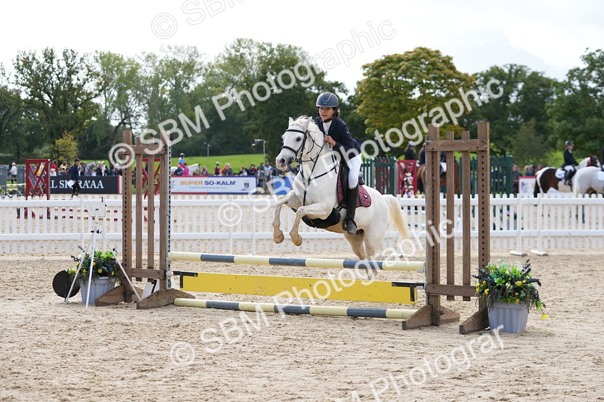 SBM_40811 - Supreme Championship Pony 50-55cm