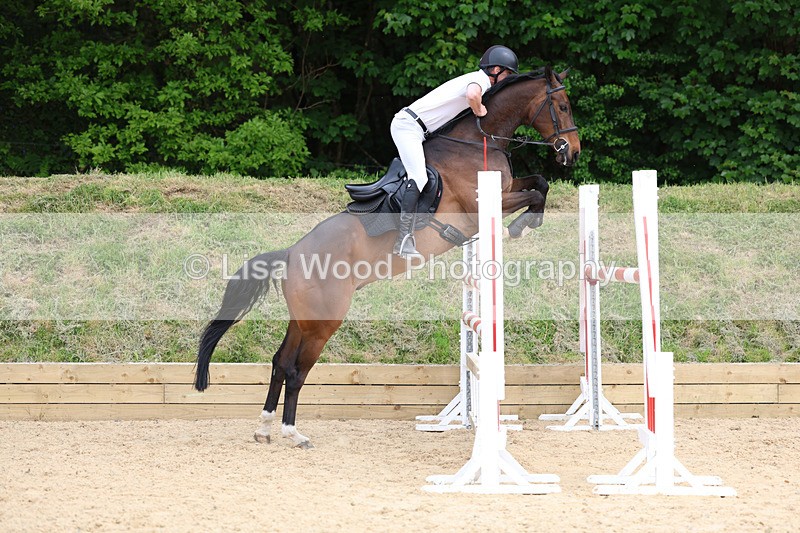 3E7A7465 - Class 8: Senior Foxhunter/1.20 open