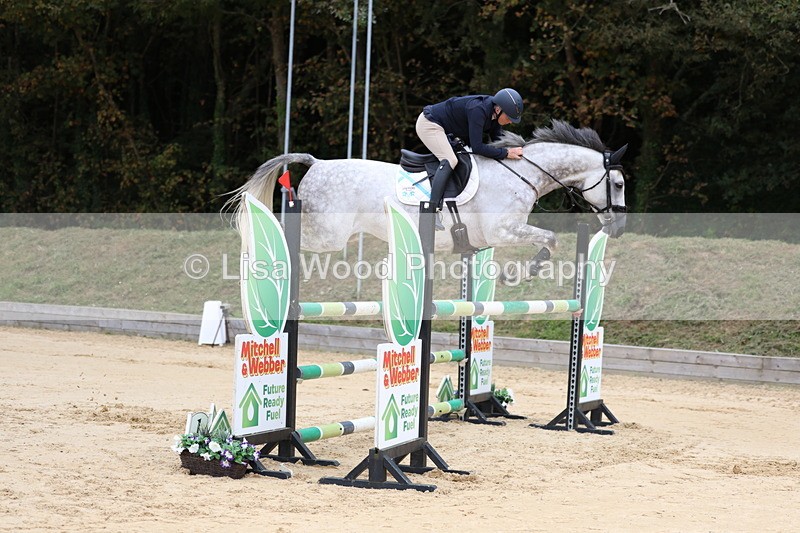 3E7A3311 - Class 9: Senior Foxhunter/1.20 open