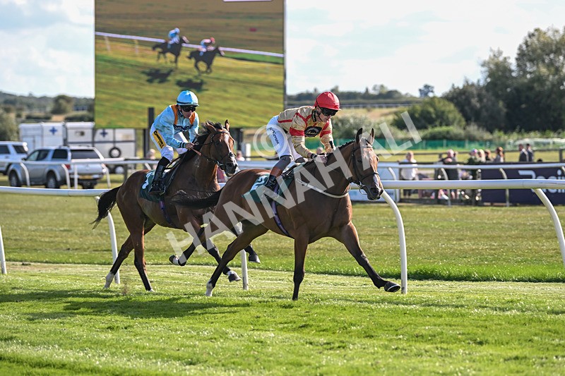 090925-Race 4-U Sure Do-8812 - Race 4