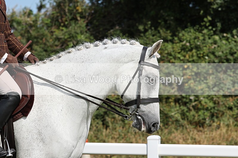 JPP_1075 - Class 17: Cornish Combination Open