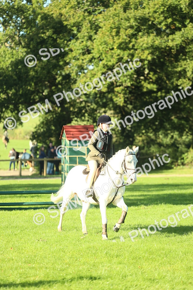 SBM_36290 - S29 - Novice & Newcomers Working Hunter Pony