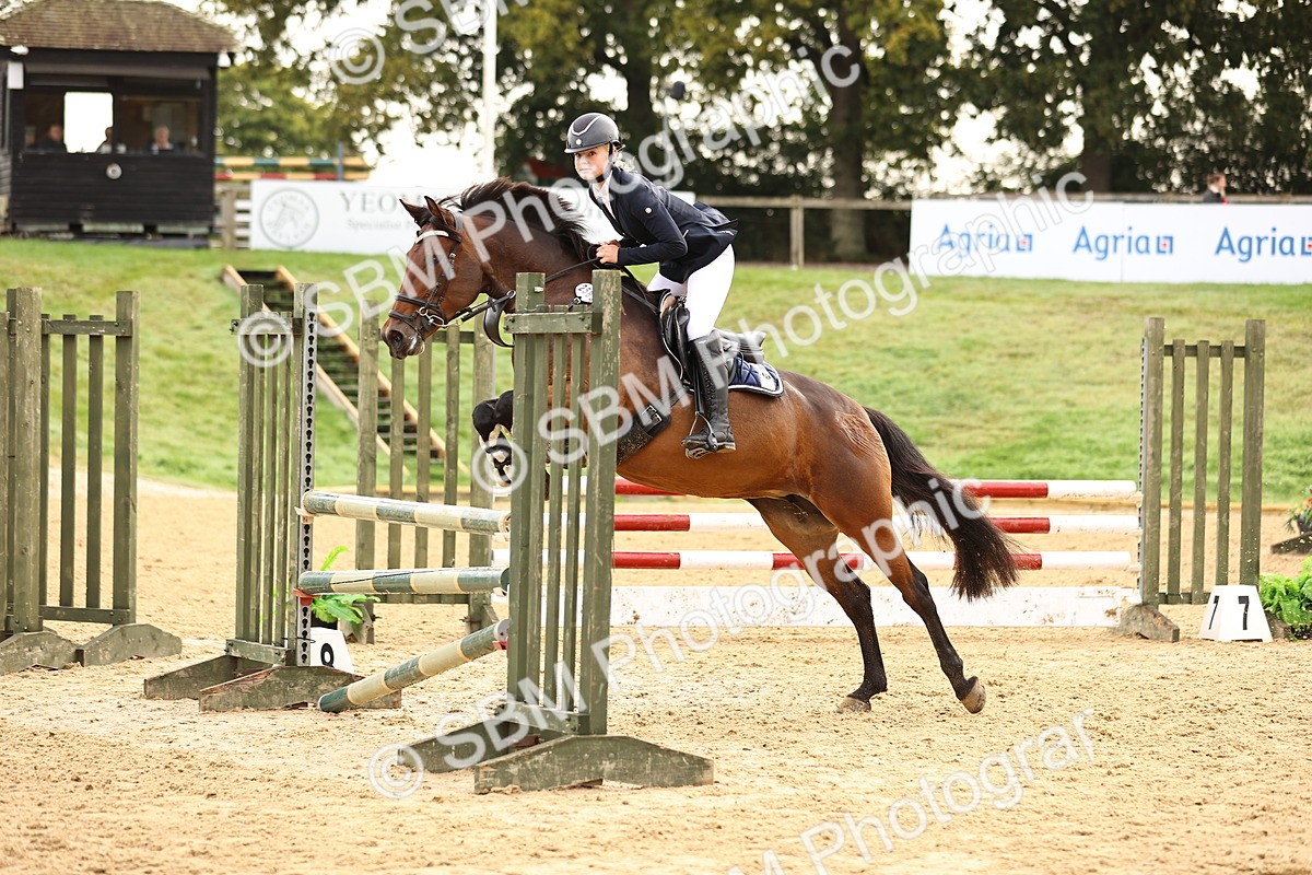 SBM_58430 - J41 - Grand Tour Horse & Pony 95cm