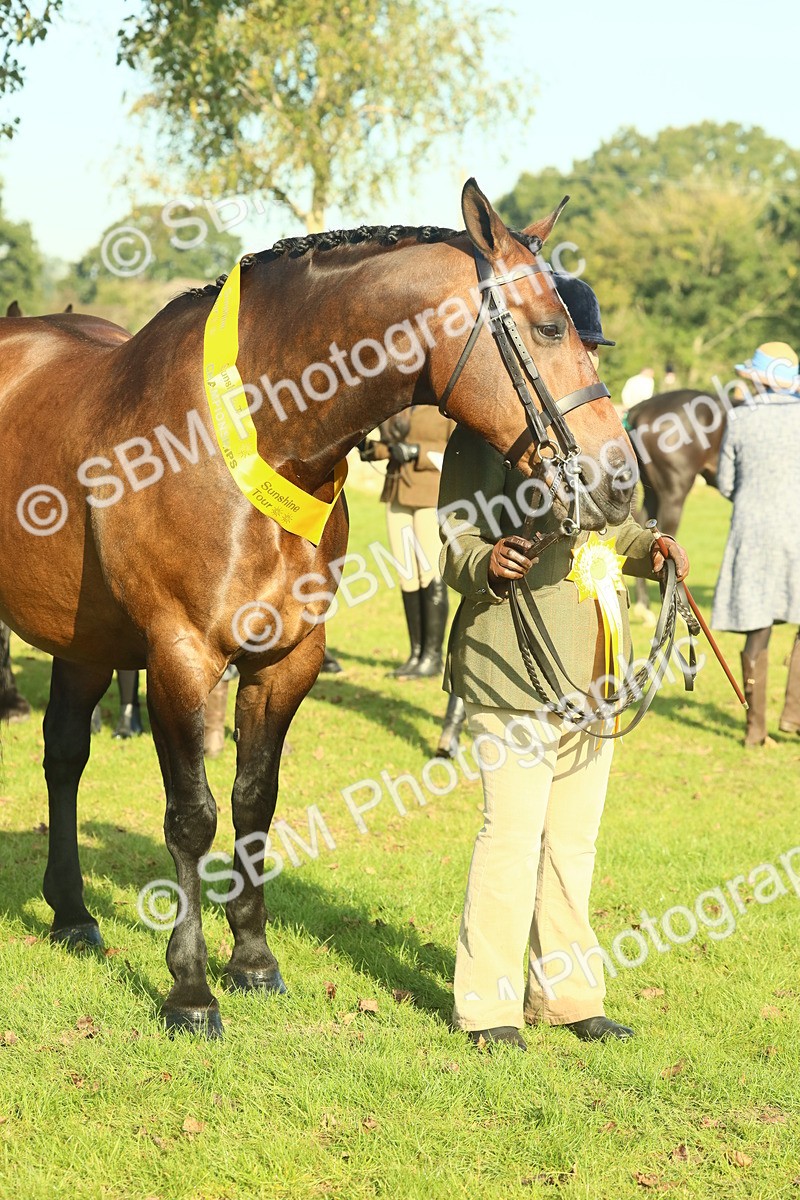 SBM_58632 - S37 - Starters In Hand Showing