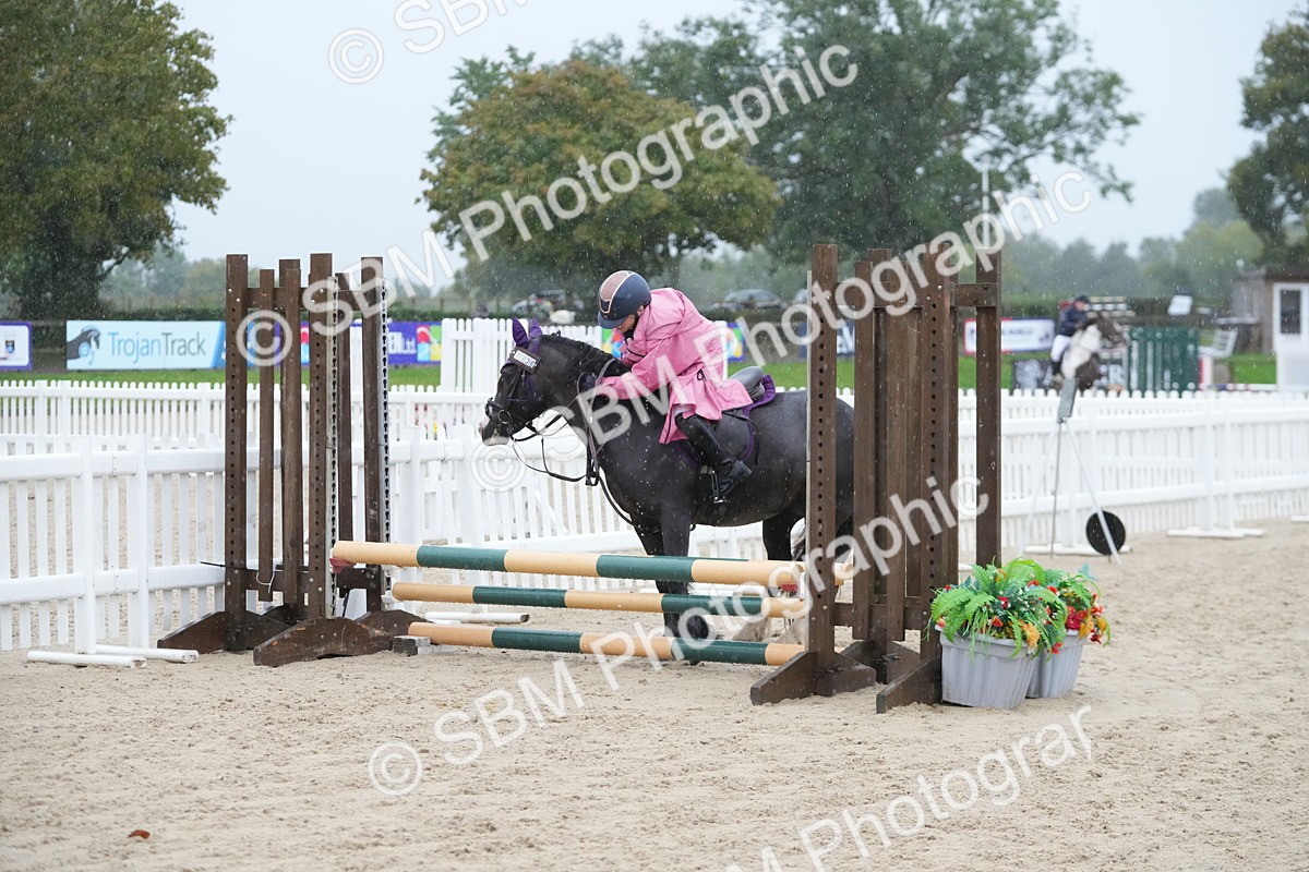 SBM_36200 - J5 - Junior Pony 50cm Championship