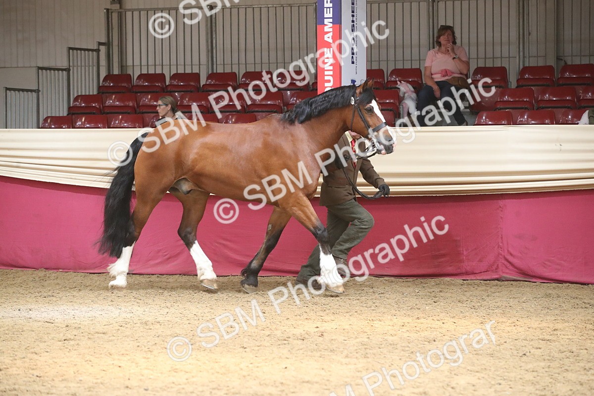 SBM_05591 - Class 9R - Regional IH Pre-Vet