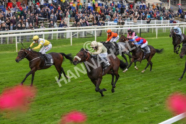 131023-Race 3-Apiarist-9784 - Race 3 3.15pm British EBF £100,000 Final