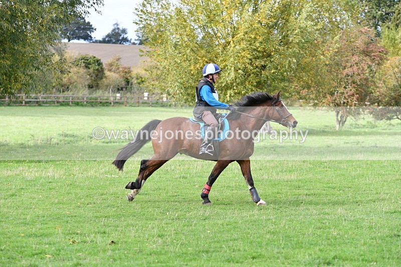 WJ5_0364 - Time 13:59 to 14:28