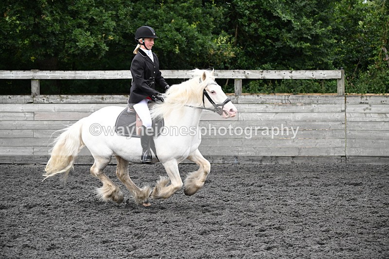 WJ6_0256 - Class 13 Novice 60cm