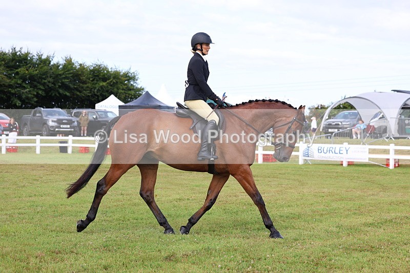 3E7A8132 - Class 2: Rising Star Large Hack/Riding Horse