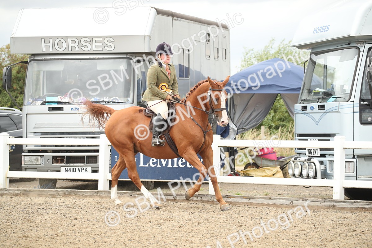 SBM_18489 - Class 510a - Working Veteran 90cm (15-19)