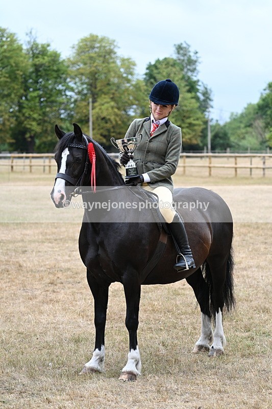 WJ7_1037 - Photo Shoots